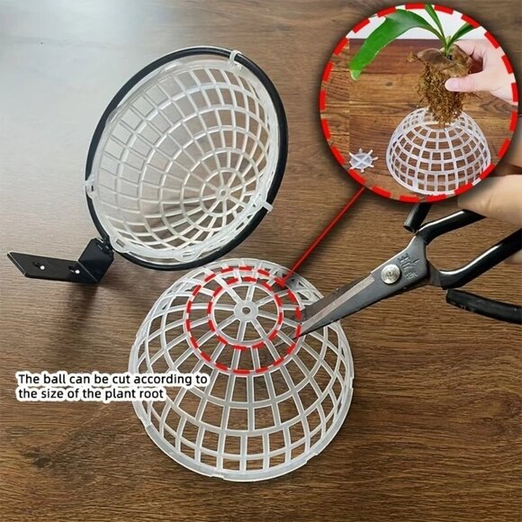 Staghorn Fern & Orchid Hanging Basket Planter Kit 6-Inch Plastic & Metal Bracket - Picture 5 of 8